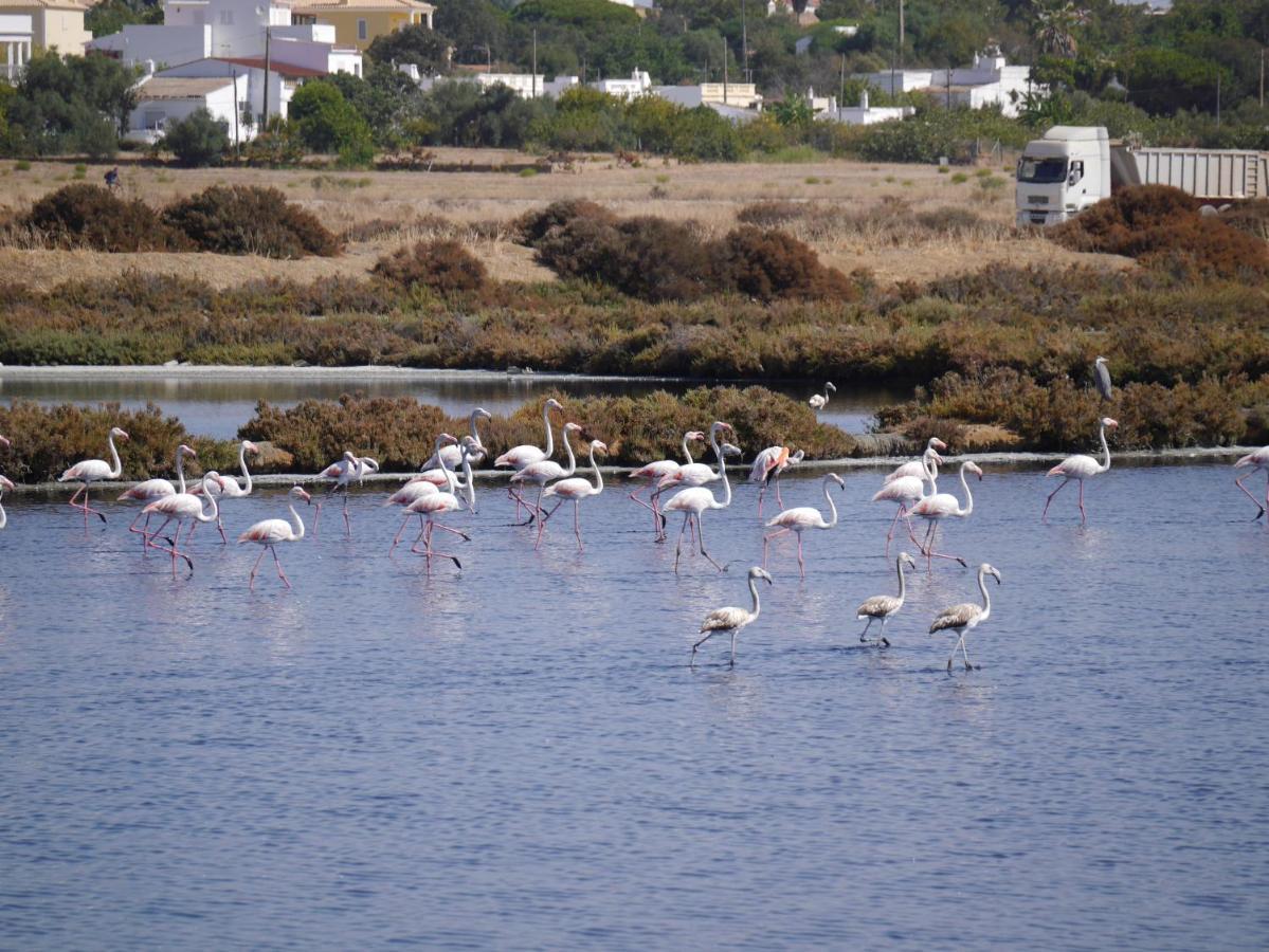 Tavira Nomad Guesthouse Dış mekan fotoğraf
